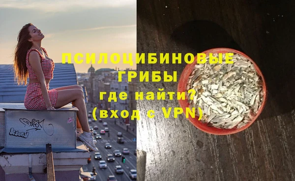 ГАЛЛЮЦИНОГЕННЫЕ ГРИБЫ Бородино